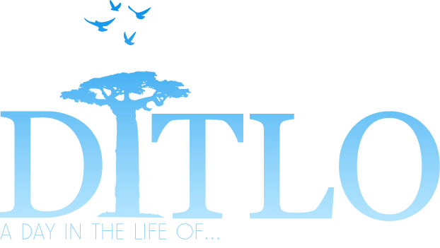 DITLO Logo